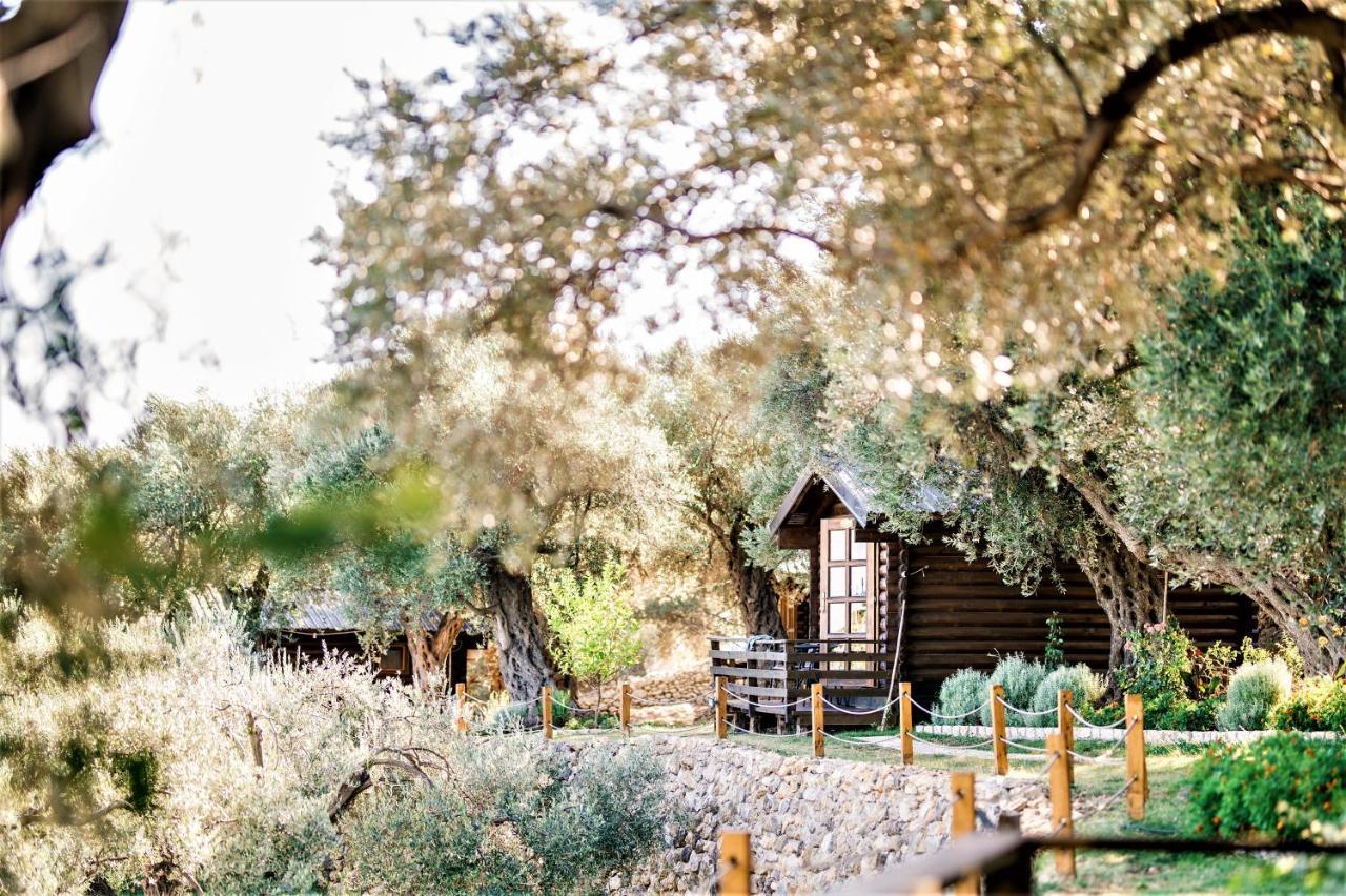 Holiday Park Olive Tree Ulcinj Extérieur photo