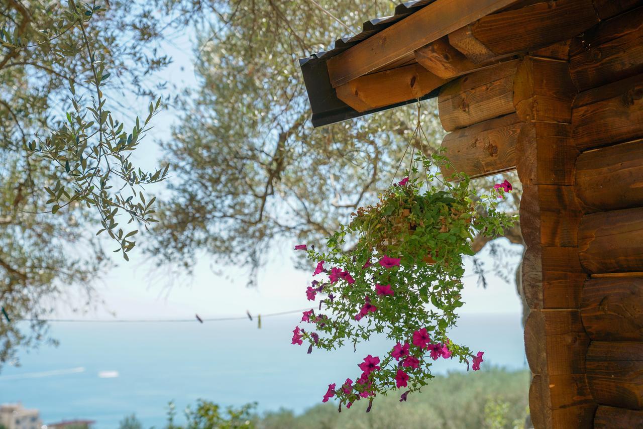 Holiday Park Olive Tree Ulcinj Extérieur photo